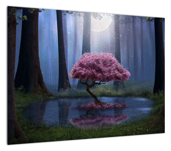 Obraz - Magiczna noc (70x50 cm)