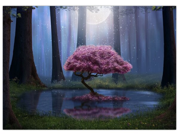 Obraz - Magiczna noc (70x50 cm)