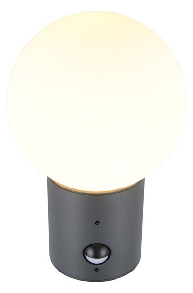 Lampa zewnętrzna ścienna z czujnikiem ruchu ø 18 cm Mures – Trio