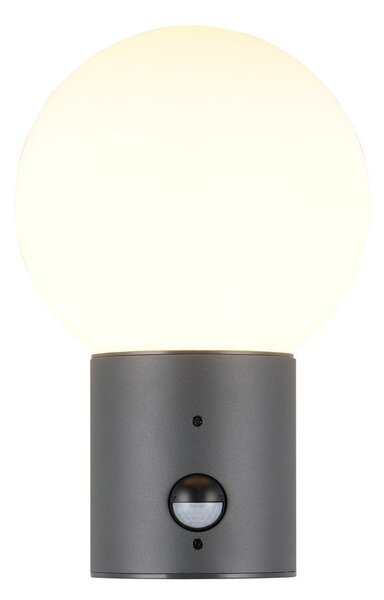 Lampa zewnętrzna ścienna z czujnikiem ruchu ø 18 cm Mures – Trio