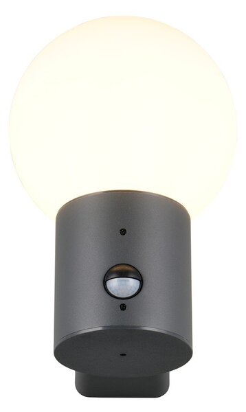 Lampa zewnętrzna ścienna z czujnikiem ruchu ø 18 cm Mures – Trio