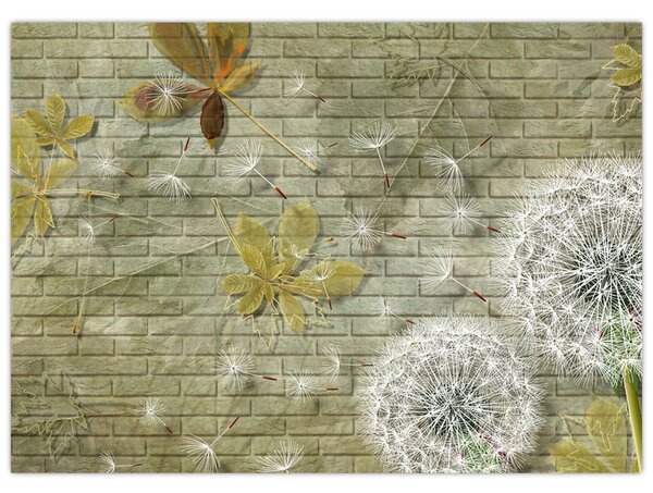 Obraz - Dmuchawce unoszone wiatrem (70x50 cm)