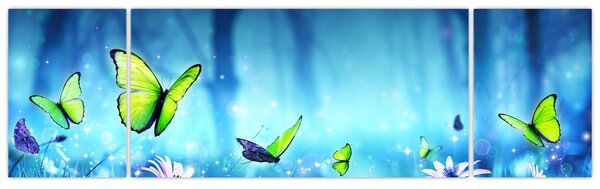 Obraz - Mistyczna leśna polana (170x50 cm)