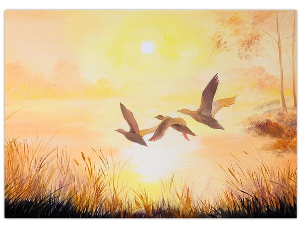 Obraz - Żurawie o zachodzie słońca (70x50 cm)