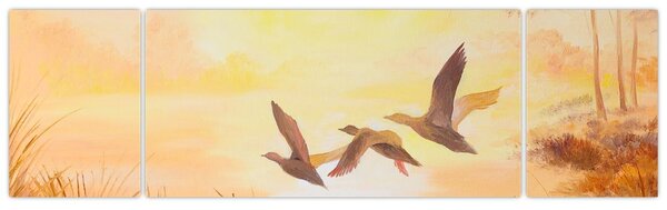 Obraz - Żurawie o zachodzie słońca (170x50 cm)