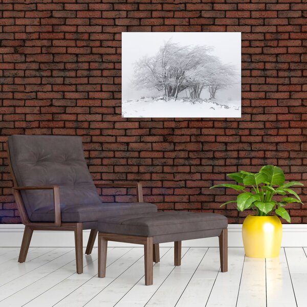 Obraz - Biała zima (70x50 cm)