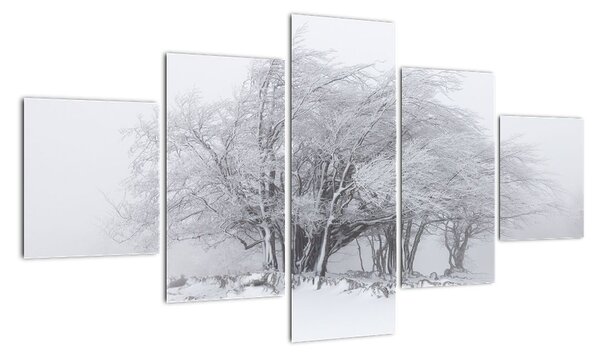 Obraz - Biała zima (125x70 cm)