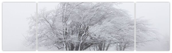 Obraz - Biała zima (170x50 cm)