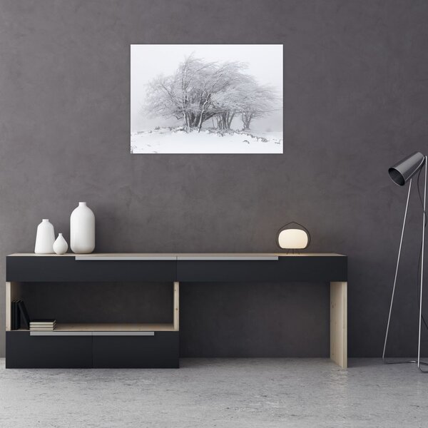 Obraz - Biała zima (70x50 cm)