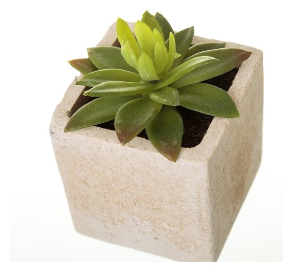 Sztuczne rośliny zestaw 6 szt. (wysokość 9,5 cm) Cactus – Casa Selección
