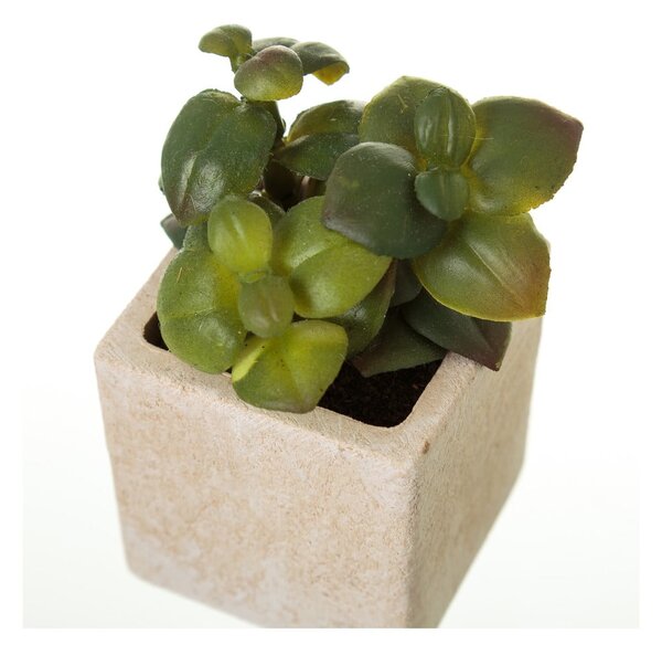 Sztuczne rośliny zestaw 6 szt. (wysokość 9,5 cm) Cactus – Casa Selección