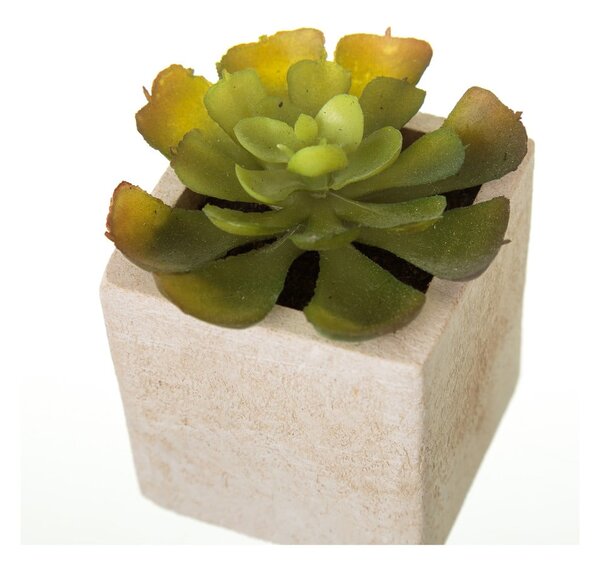 Sztuczne rośliny zestaw 6 szt. (wysokość 9,5 cm) Cactus – Casa Selección