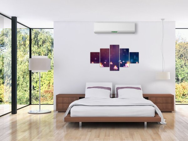 Obraz - Magiczne lilie wodne (125x70 cm)
