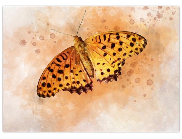 Obraz - Pomarańczowy motyl, akwarela (70x50 cm)