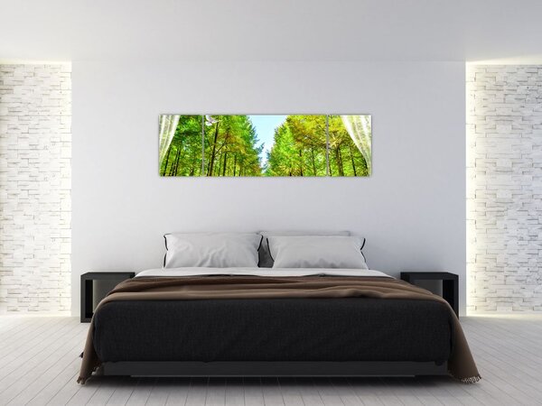 Obraz - Widok na las (170x50 cm)