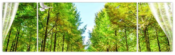 Obraz - Widok na las (170x50 cm)