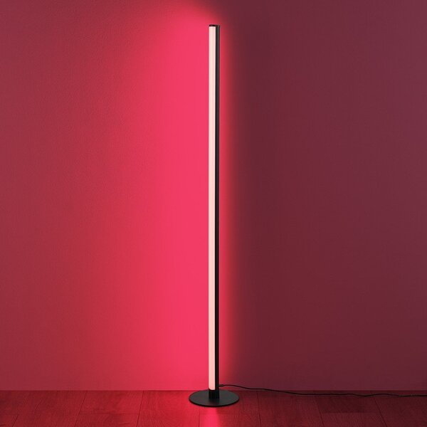 Czarna lampa stojąca LED (wysokość 110 cm) Tendo – Reality