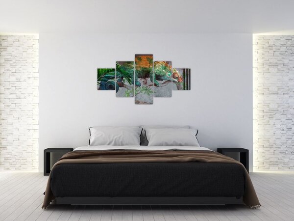Obraz - Kameleon (125x70 cm)