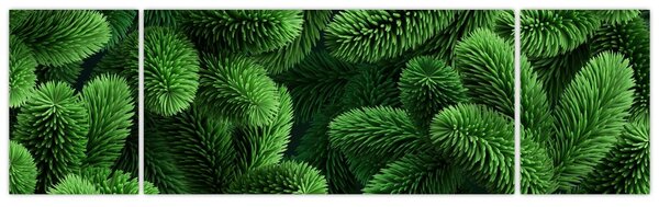 Obraz - Gałązki drzew iglastych (170x50 cm)