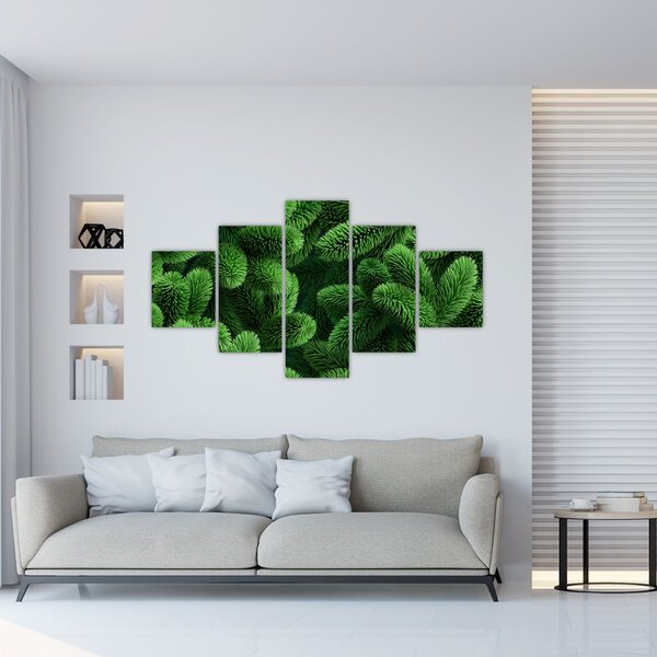 Obraz - Gałązki drzew iglastych (125x70 cm)
