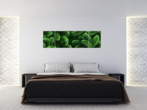 Obraz - Gałązki drzew iglastych (170x50 cm)