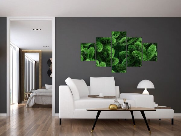 Obraz - Gałązki drzew iglastych (125x70 cm)