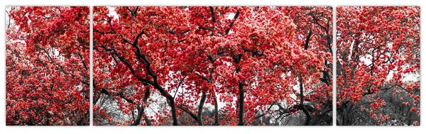 Obraz - Czerwone drzewa, Central Park, New York (170x50 cm)