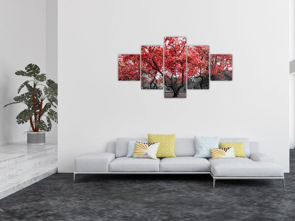 Obraz - Czerwone drzewa, Central Park, New York (125x70 cm)