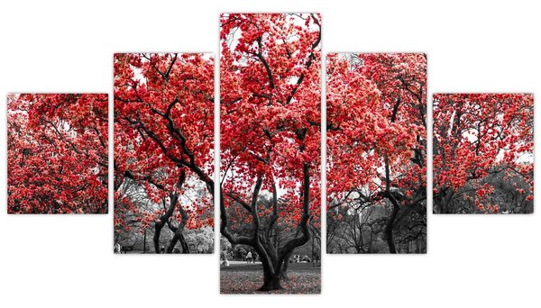 Obraz - Czerwone drzewa, Central Park, New York (125x70 cm)