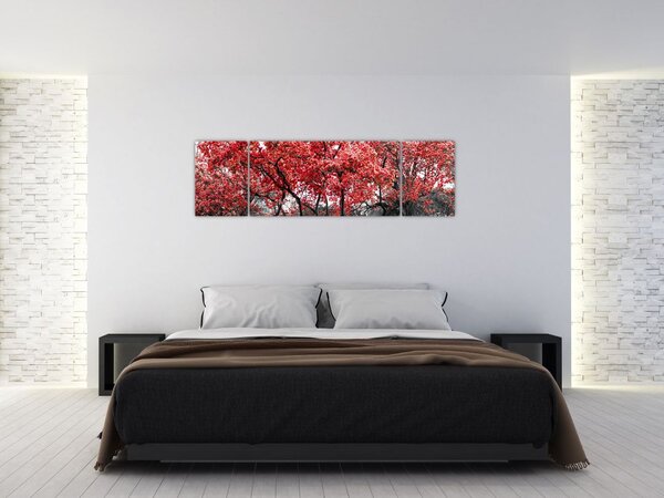 Obraz - Czerwone drzewa, Central Park, New York (170x50 cm)
