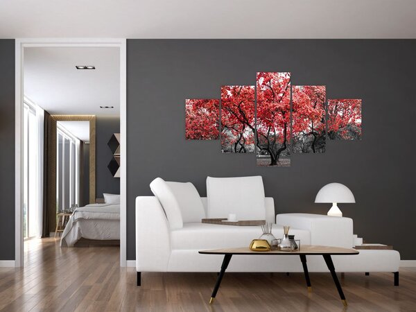 Obraz - Czerwone drzewa, Central Park, New York (125x70 cm)