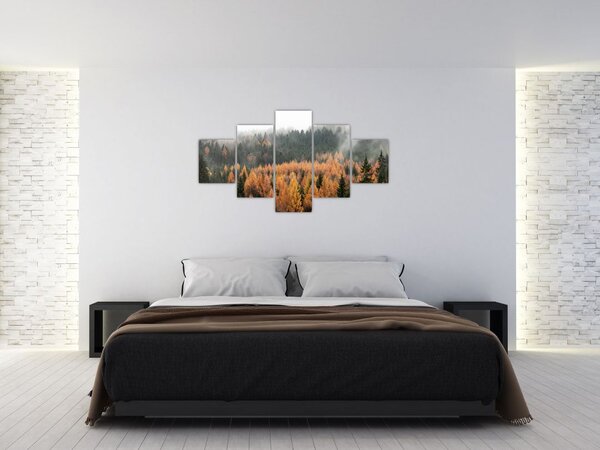 Obraz - Jesienny las (125x70 cm)