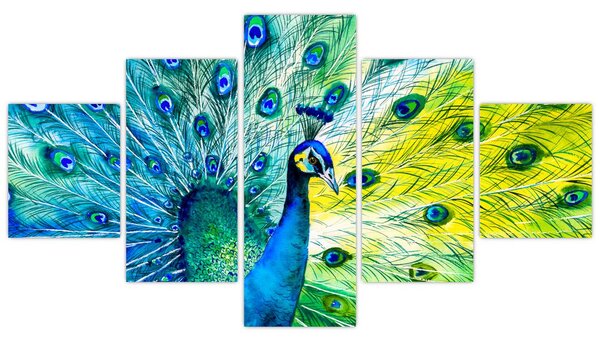 Obraz pawia (125x70 cm)