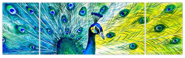 Obraz pawia (170x50 cm)