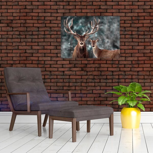 Obraz - Jeleń i łania w zaśnieżonym lesie (70x50 cm)