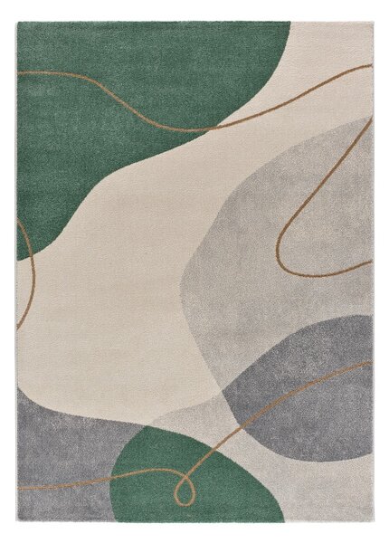 Zielony dywan 120x170 cm Edesa – Universal
