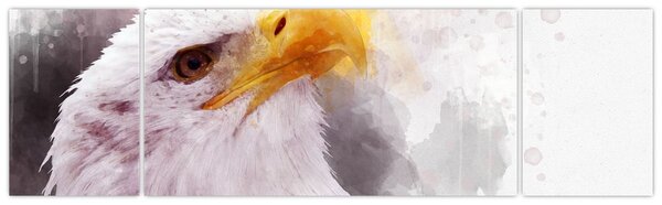 Obraz orła (170x50 cm)