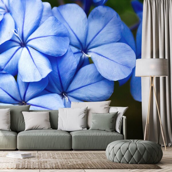 Samoprzylepna fototapeta dzikie niebieskie kwiaty