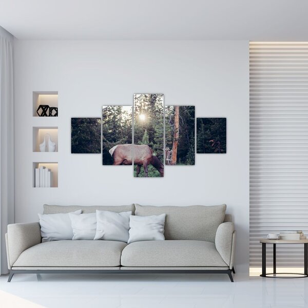 Obraz - Łoś na polanie (125x70 cm)