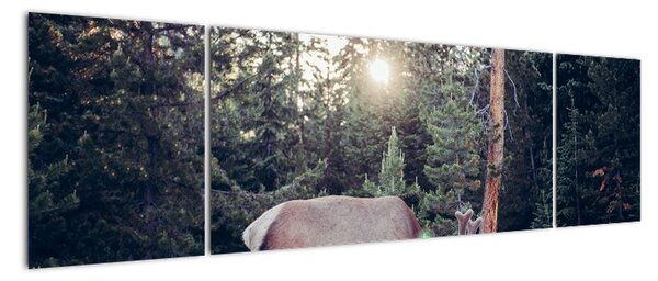 Obraz - Łoś na polanie (170x50 cm)