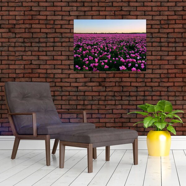 Obraz - Łąka fioletowych tulipanów (70x50 cm)