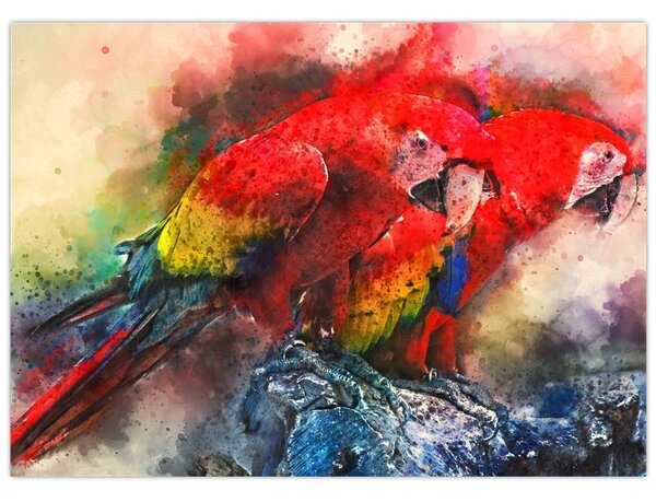 Obraz czerwonych papug Ara (70x50 cm)