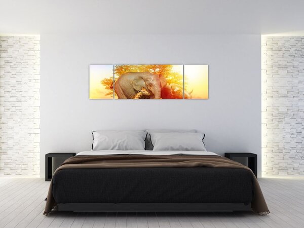 Obraz zwierząt afrykańskich (170x50 cm)