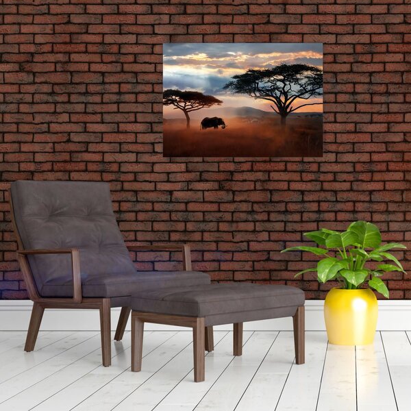 Obraz - Park Narodowy Serengeti, Tanzania, Afryka (70x50 cm)