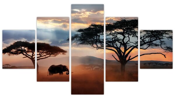 Obraz - Park Narodowy Serengeti, Tanzania, Afryka (125x70 cm)