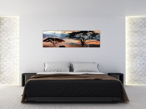 Obraz - Park Narodowy Serengeti, Tanzania, Afryka (170x50 cm)