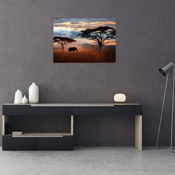 Obraz - Park Narodowy Serengeti, Tanzania, Afryka (70x50 cm)