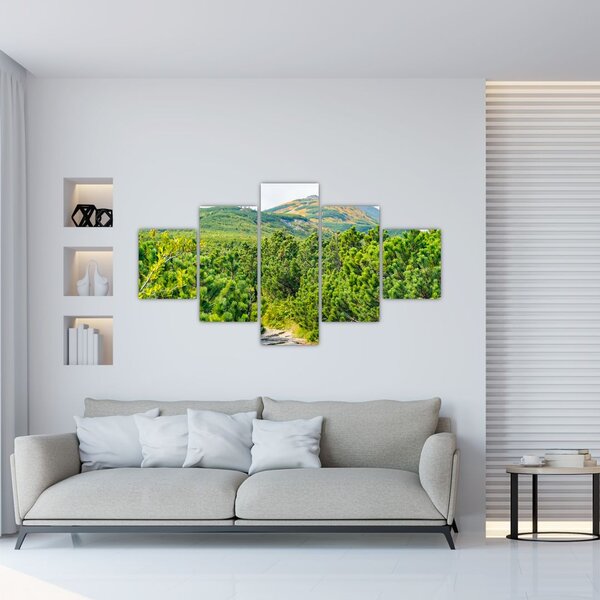 Obraz - Babia Góra, Polska (125x70 cm)