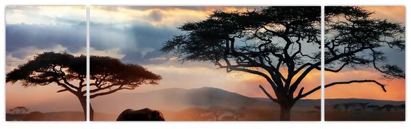 Obraz - Park Narodowy Serengeti, Tanzania, Afryka (170x50 cm)