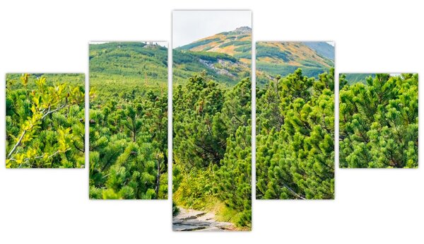 Obraz - Babia Góra, Polska (125x70 cm)